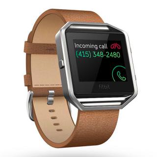 

Fitbit Blaze Luxe Accessory Band (FB159LBCMS)