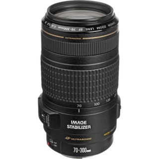 

Canon EF 70-300mm f/4-5.6 IS USM (US)