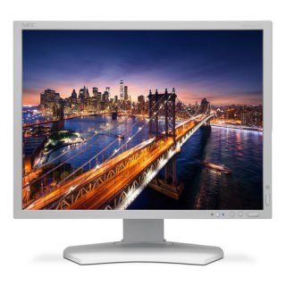

Nec P212 21.3in White