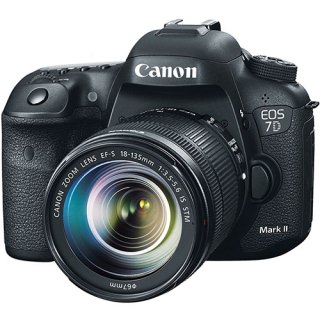 

Canon EOS 7D Mark II Kit 18-135mm (US)