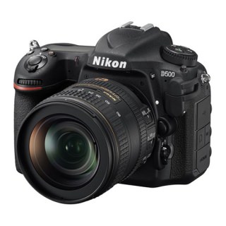 

Nikon D500 kit (16-80mm)