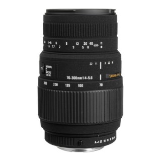 

Sigma 70-300mm F4-5.6 DG MACRO (Pentax) US