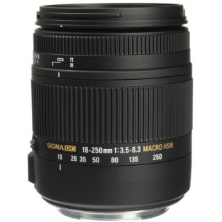 

Sigma 18-250mm F3.5-6.3 DC OS HSM for Pentax (US)