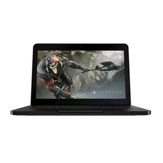 

Razer 14 -5 (RZ09-01953E71-MSU1)
