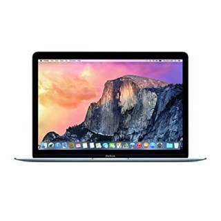 

APPLE MacBook (MF855C/A-C) (US)