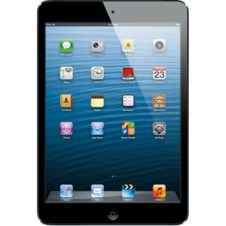 

Apple iPad mini with Wi-Fi 16GB Black Slate BLK-3RCB