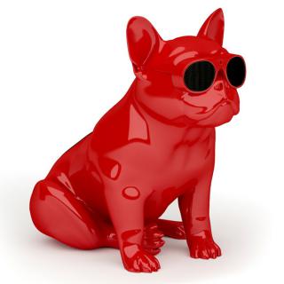 

Jarre AeroBull XS1 Red