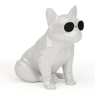 

Jarre AeroBull XS1 White