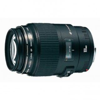 

Canon EF 100mm f/2.8 Macro USM