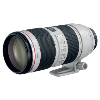 

Canon EF 70-200mm f/2.8L IS II USM