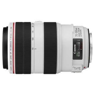 

Canon EF 70-300mm f/4-5.6L IS USM